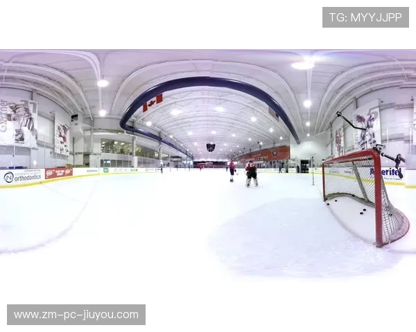 冰球裁判培训引进VR判罚模拟，判罚质量显著提升