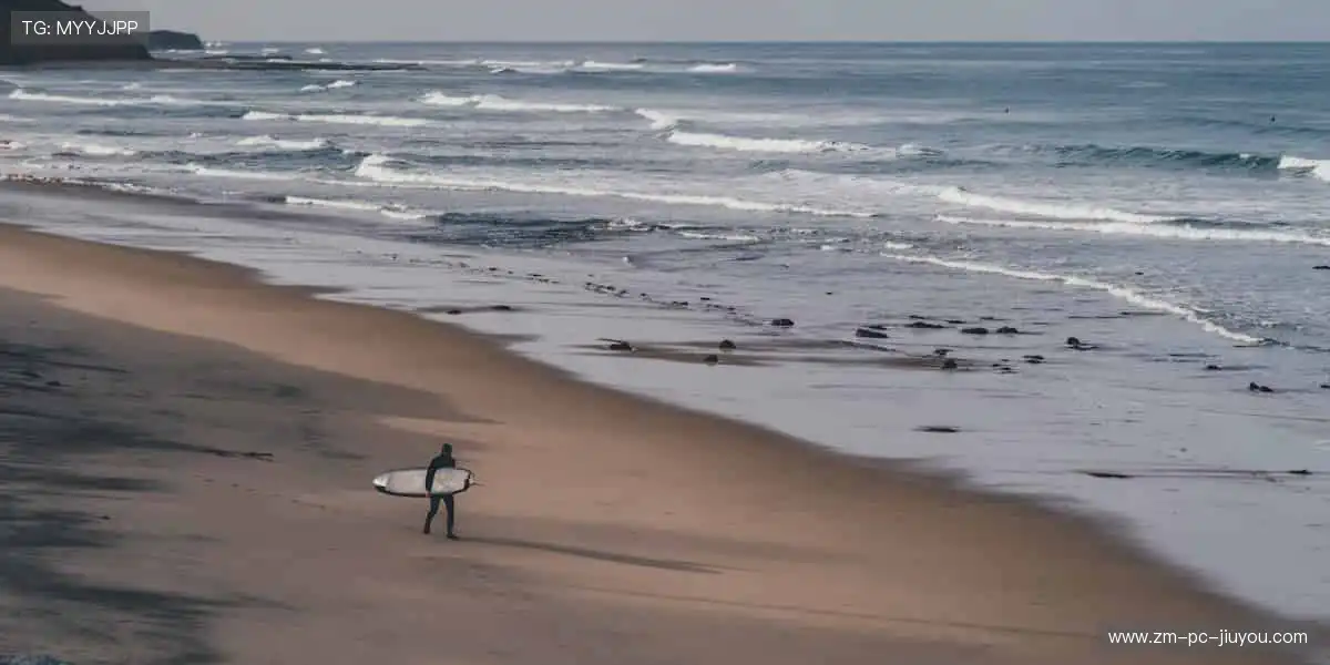 📰 体育新闻，权威速递！🏆 最新战报、深度解读，尽在掌握！